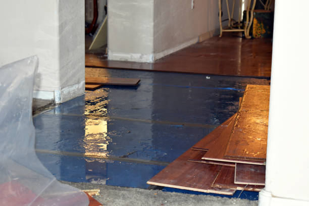 Professional Burst Pipe Cleanup technician working in Alvord, TX